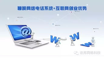 國內(nèi)與國外網(wǎng)絡(luò)電話技術(shù)服務(wù)的深度對比分析